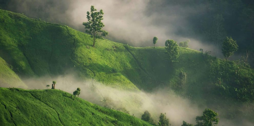 shahriar-rahman-LGXQ9mqDzOk-unsplash (1)-min