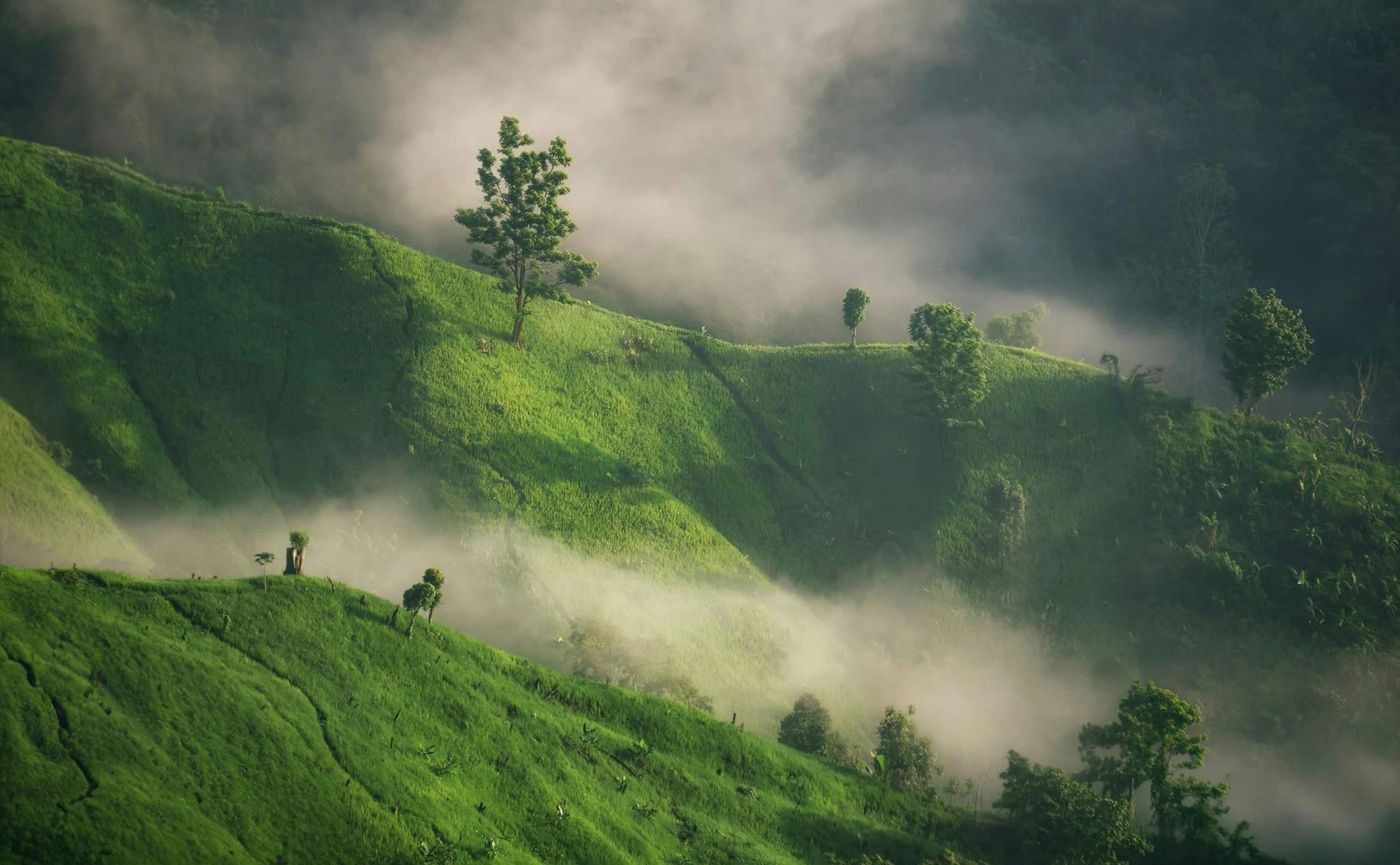 shahriar-rahman-LGXQ9mqDzOk-unsplash (1)-min